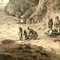 Museumstreff «Tierische Begleiter»